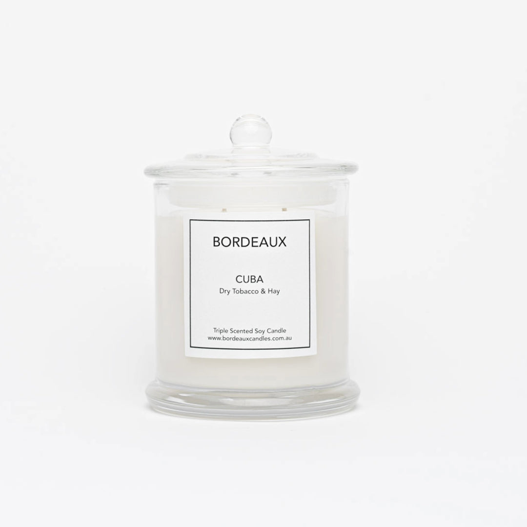 Classic Candle | Pure Soy Wax | Dry Tobacco & Hay | Bordeaux Candles