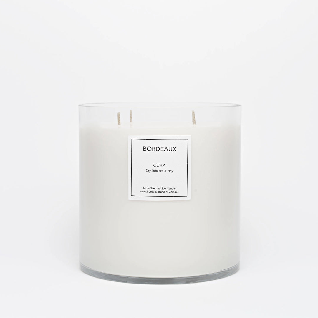 Large Candle | Pure Soy Wax | Dry Tobacco & Hay  | Bordeaux Candles