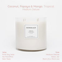 Thumbnail for HAVANA - Coconut, Papaya & Mango Medium Deluxe Candle
