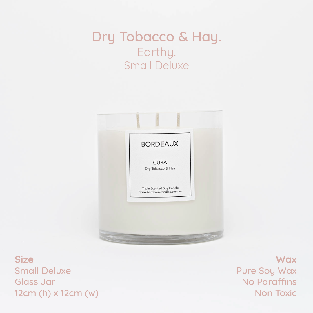 Small Deluxe Candle | Small Candle | Soy Wax | Dry Tobacco & Hay | Bordeaux Candles