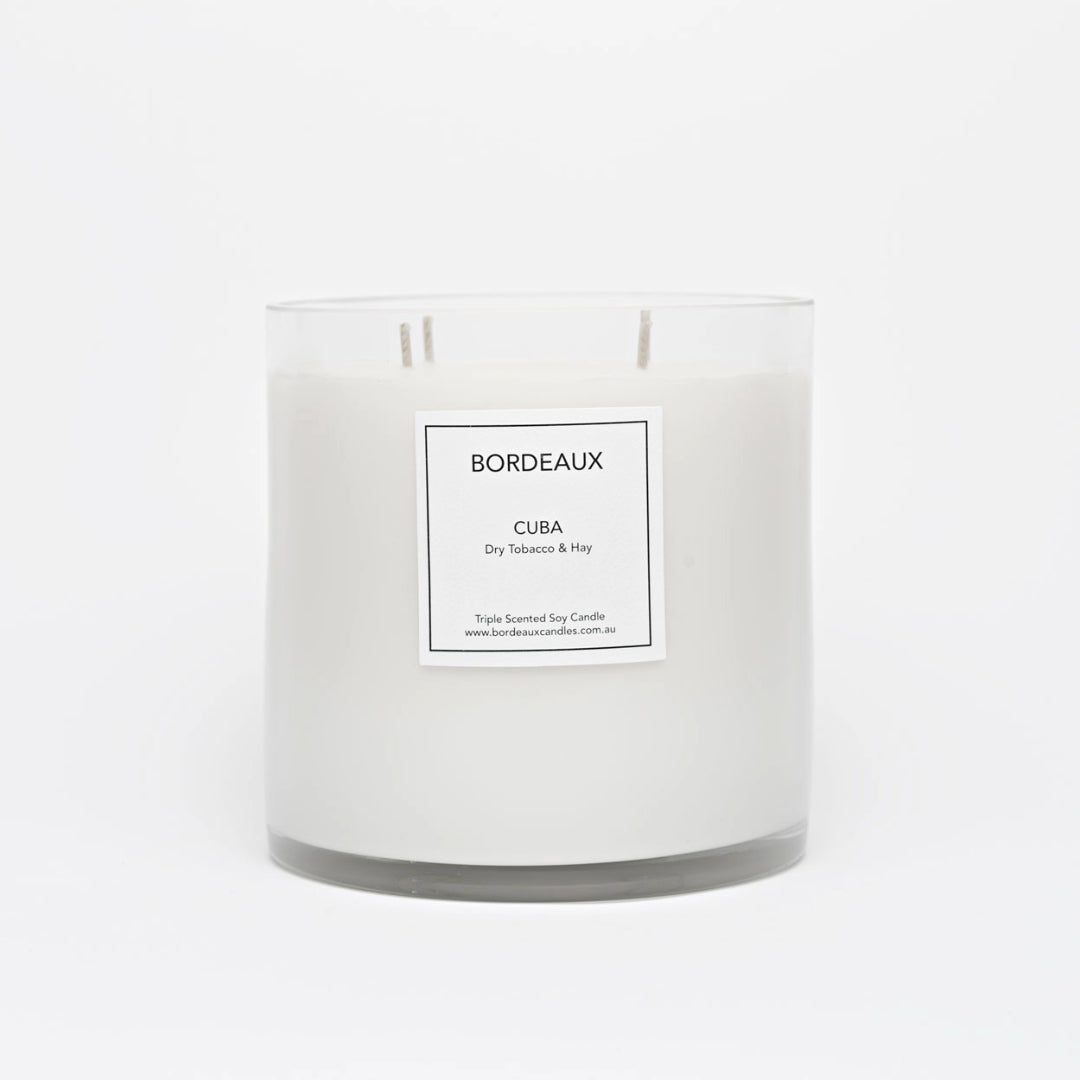 Large Candle | Pure Soy Wax | Dry Tobacco & Hay | Bordeaux Candles