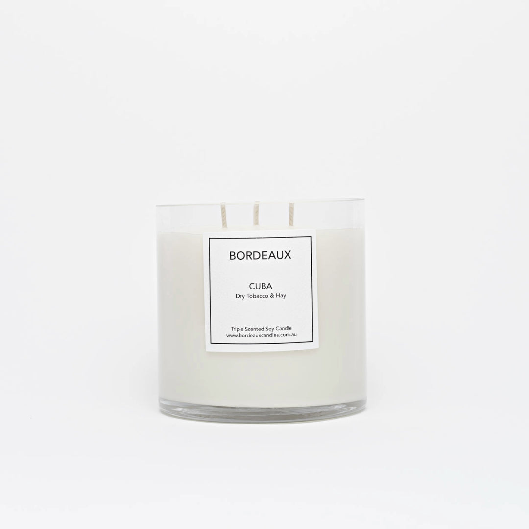 Small Candle | Pure Soy Wax | Dry Tobacco & Hay | Bordeaux Candles